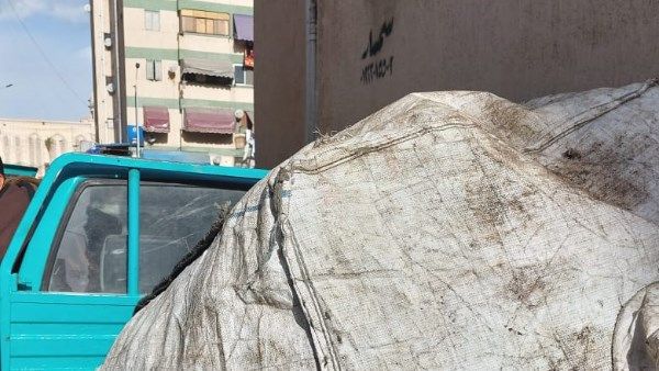 رغم سوء الأحوال الجوية ضواحى بورسعيد يواصل حملات ازالة الاشغالات ومجابهة الفرزة.. صور