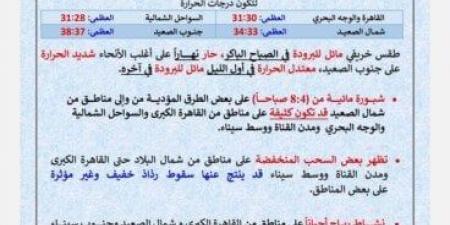 الحر
      راجع
      تاني..
      «الأرصاد»
      تكشف
      حالة
      الطقس
      اليوم
      الإثنين
      20
      أكتوبر
      2025 - الفجر سبورت
