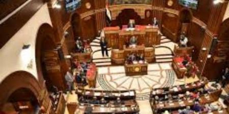 برلماني: مصر واجهت الإرهاب بسلاح الوعي والتنمية وحافظت على دورها التاريخي تجاه غزة - الفجر سبورت