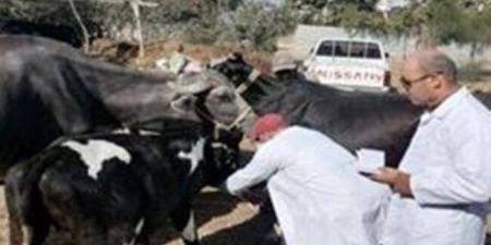 انطلاق
      الحملة
      القومية
      الثالثة
      لتحصين
      الماشية
      ضد
      الحمى
      القلاعية
      والوادي
      المتصدع
      بالقليوبية
      السبت
      المقبل - الفجر سبورت