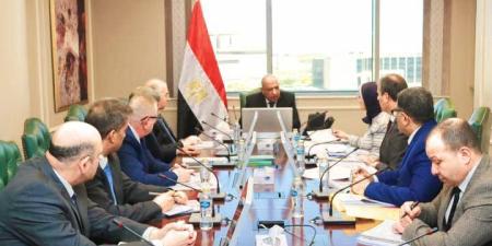 الكهرباء تبحث مناطق التنمية الزراعية والصناعية في توشكى وشرق العوينات والروبيكي - الفجر سبورت
