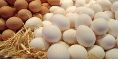 أسعار البيض اليوم الأحد في الأسواق - الفجر سبورت