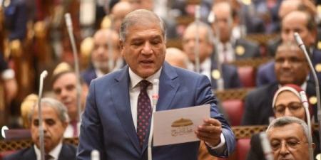 بعد اختياره وكيلاً لخارجية الشيوخ.. عفت السادات: سنواصل دعم الدبلوماسية المصرية - الفجر سبورت