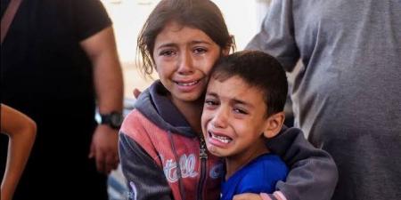 اليونيسف: 650 ألف طفل في غزة حرموا من التعليم منذ أكثر من سنتين - الفجر سبورت