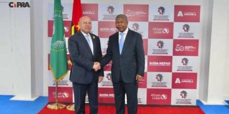 كامل الوزير: مشروعات الربط في إفريقيا ركيزة أساسية - الفجر سبورت