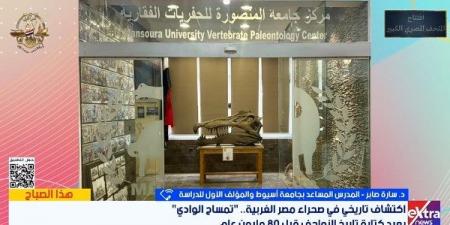 اكتشاف هيكل تمساح ضخم من فصيلة الديناصورات في الصحراء الغربية - الفجر سبورت