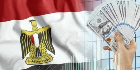 نمو الاقتصاد المصري يتسارع ودويتشه بنك يرفع توقعاته إلى 4.6% - الفجر سبورت