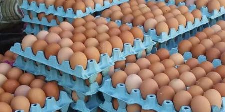 شعبة المواد الغذئية: كرتونة البيض تقترب من 100 جنيه.. والمعروض الكبير وراء التراجع - الفجر سبورت