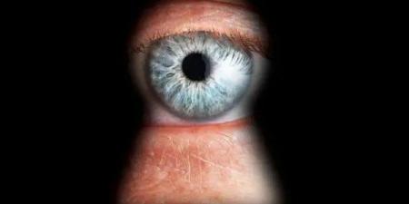 هل انتشار الحشرات والنمل فى البيت يدل على الحسد؟.. اعرف الحقيقة - الفجر سبورت