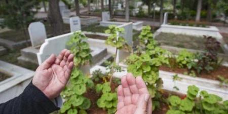 ما حكم بناء مظلةٍ واستراحة على القبر؟.. الإفتاء تجيب - الفجر سبورت