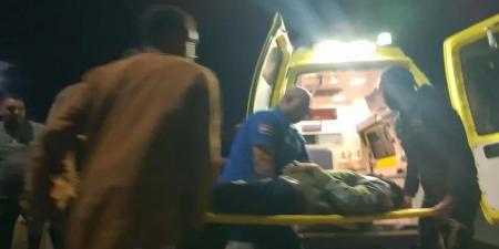 مصرع وإصابة 7 أشخاص في حادث تصادم تريلا وكارو بالقليوبية - الفجر سبورت