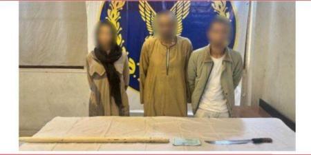 ضبط تشكيل عصابي تخصص في الاتجار بالمخدرات والترويج للأعمال المنافية للآداب بالقاهرة - الفجر سبورت