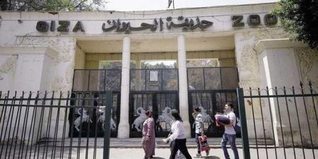 موعد افتتاح حديقة الحيوان بعد التجديد - الفجر سبورت