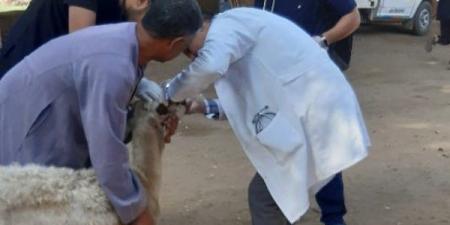 البكاء من الفرح يملأ القاعة.. فوز 444 شخصًا في قرعة الحج بأسيوط - الفجر سبورت