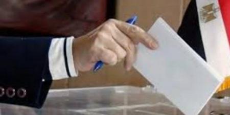 توقف دعاية المرشحين بانتخابات مجلس النواب للمرحلة الأولى.. غدًا - الفجر سبورت