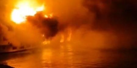 بيطري الشرقية يواصل تحصين الماشية ضد الحمى القلاعية والوادي المتصدع | صور - الفجر سبورت