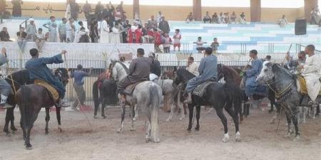 محافظ قنا يفتتح عروض المرماح والتحطيب ضمن فعاليات مهرجان قنا للحرف والتراث - الفجر سبورت