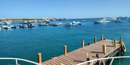 مشروع علم الروم | استثمار قطري ضخم يعزز الاقتصاد المصري ويوفر 250 ألف فرصة عمل.. خبير يعلق - الفجر سبورت