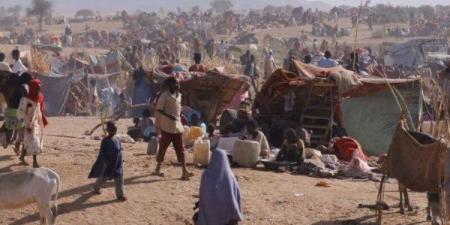 خبير سياسي: مصر لعبت دورًا مهمًا في محاولة احتواء الأزمة بالسودان - الفجر سبورت