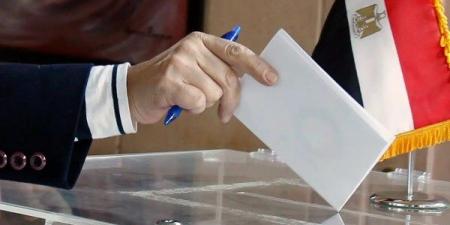 الوطنية للانتخابات: لم نرصد أي خروقات للدعاية الانتخابية خلال فترة الصمت الانتخابي بانتخابات النواب - الفجر سبورت