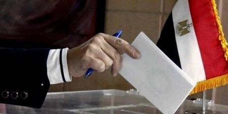 انتخابات مجلس النواب 2025.. المصريون في الخارج يواصلون الإدلاء بأصواتهم - الفجر سبورت