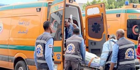 مصرع شخص وإصابة 9 آخرين في حادث مروع بمحور سمالوط بالمنيا - الفجر سبورت