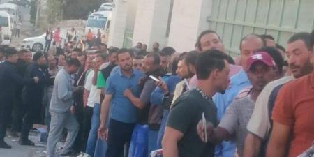 المصريون في الأردن: المشاركة في الانتخابات واجب وطني لا يسقط بالغربة - الفجر سبورت