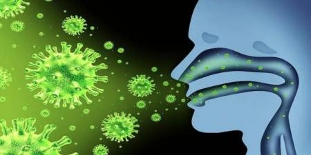 هل ينتشر الفيروس المخلوي في مصر .. مستشار الرئيس للصحة يوضح - الفجر سبورت