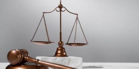 غدًا.. استكمال محاكمة 32 متهما في قضية «خلية الهرم» - الفجر سبورت