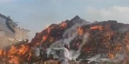 إخماد حريق هائل في شونة كتان بالغربية .. صور - الفجر سبورت