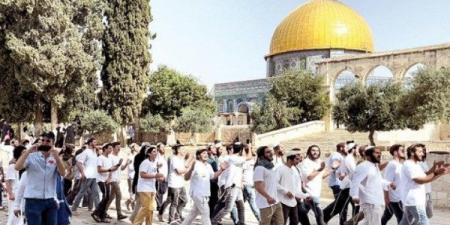 مئات المستوطنين يقتحمون باحات المسجد الأقصى .. واستشهاد فلسطيني شرقي خان يونس - الفجر سبورت