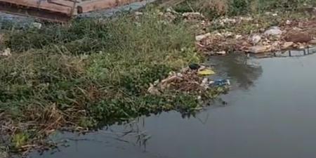 خارج الخدمة.. انهيار كوبري مشاة مهجور على ترعة الإبراهيمية بطما - الفجر سبورت