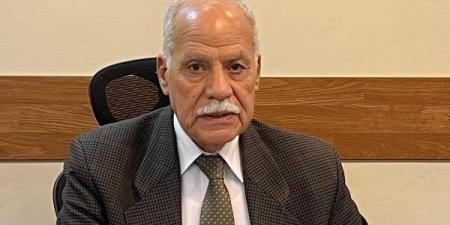 العربي الناصري: مشاركة المصريين بالخارج في الانتخابات مشهد وطني يبعث بالفخر - الفجر سبورت