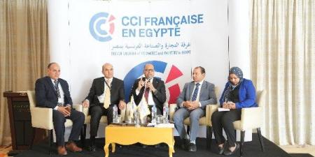 جبران: قانون العمل قادر على تحسين بيئة العمل وجذب الاستثمارات - الفجر سبورت