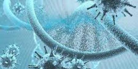 هل لها علاقة بكورونا؟.. حسام حسني يكشف عن تفاصيل مهمة للمواطنين عن دور البرد المنتشر - الفجر سبورت