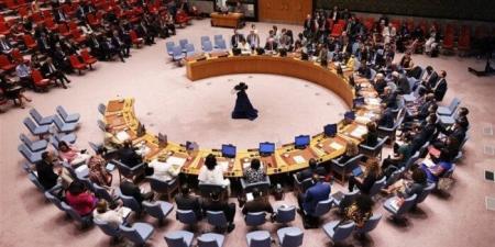 مجلس الأمن الدولي يمنح "الداخلية العراقية" تصنيفًا دوليًا لمراقبة الأسلحة - الفجر سبورت