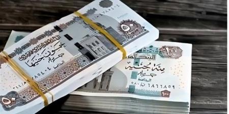 هل زواج الأرملة يقطع المعاش.. قانون التأمينات يجيب - الفجر سبورت