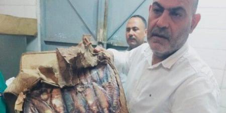 ضبط 2 طن أسماك ولحوم مجمدة مجهولة المصدر بالقليوبية - الفجر سبورت