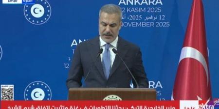 وزير الخارجية التركي: مصر أكبر شريك تجاري لنا في إفريقيا - الفجر سبورت