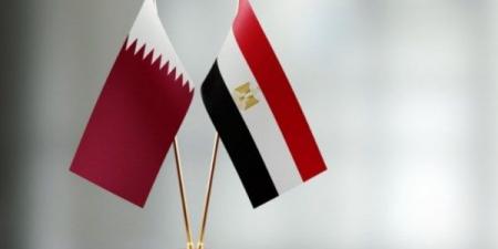 خبير اقتصادي: مشروع تنمية علم الروم يحسن قيمة الجنيه ويحقق التنمية المستدامة - الفجر سبورت