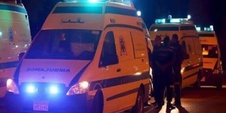 إصابة 12 شخصًا في تصادم ميكروباص بسيارة ملاكي بطريق المرشدين ببورسعيد - الفجر سبورت