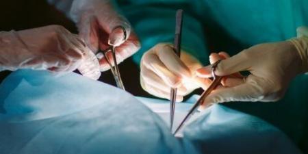 أستاذ بجامعة أمريكية: مصر تُظهر اهتماما غير مسبوق بمبادرة مكافحة فشل الأعضاء - الفجر سبورت