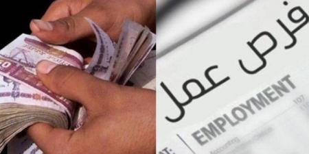 6200 فرصة عمل في مشروع الضبعة النووي.. الشروط والأوراق المطلوبة - الفجر سبورت