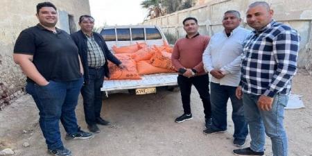 بنزين مدعم وبطاقات تموينية للبيع الوهمي.. ضبط 130 مخالفة تموينية بالفيوم - الفجر سبورت