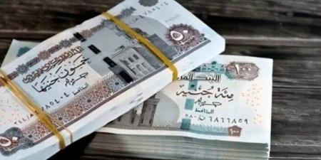 بعد بيان المالية.. موعد صرف مرتبات المعلمين والموظفين لشهر نوفمبر 2025 - الفجر سبورت