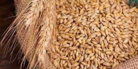 سعر الأرز اليوم السبت 15 نوفمبر 2025 في الأسواق.. الحبة الرفيعة بكام؟ - الفجر سبورت