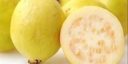 ماذا يحدث لجسمك عند تناول الجوافة؟ - الفجر سبورت