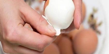 تحذير من تطويل مدة سلق البيض.. هل يؤدي إلى التسمم؟ - الفجر سبورت