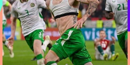 هدف قاتل في +90 يمنح أيرلندا بطاقة الملحق وينهي حلم المجر .. بوابة الفجر سبورت