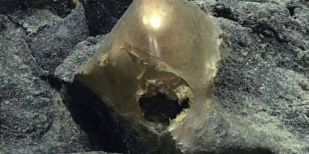 كنز في أعماق البحار.. اكتشاف كرة غامضة يحير العلماء| إيه الحكاية؟ - الفجر سبورت